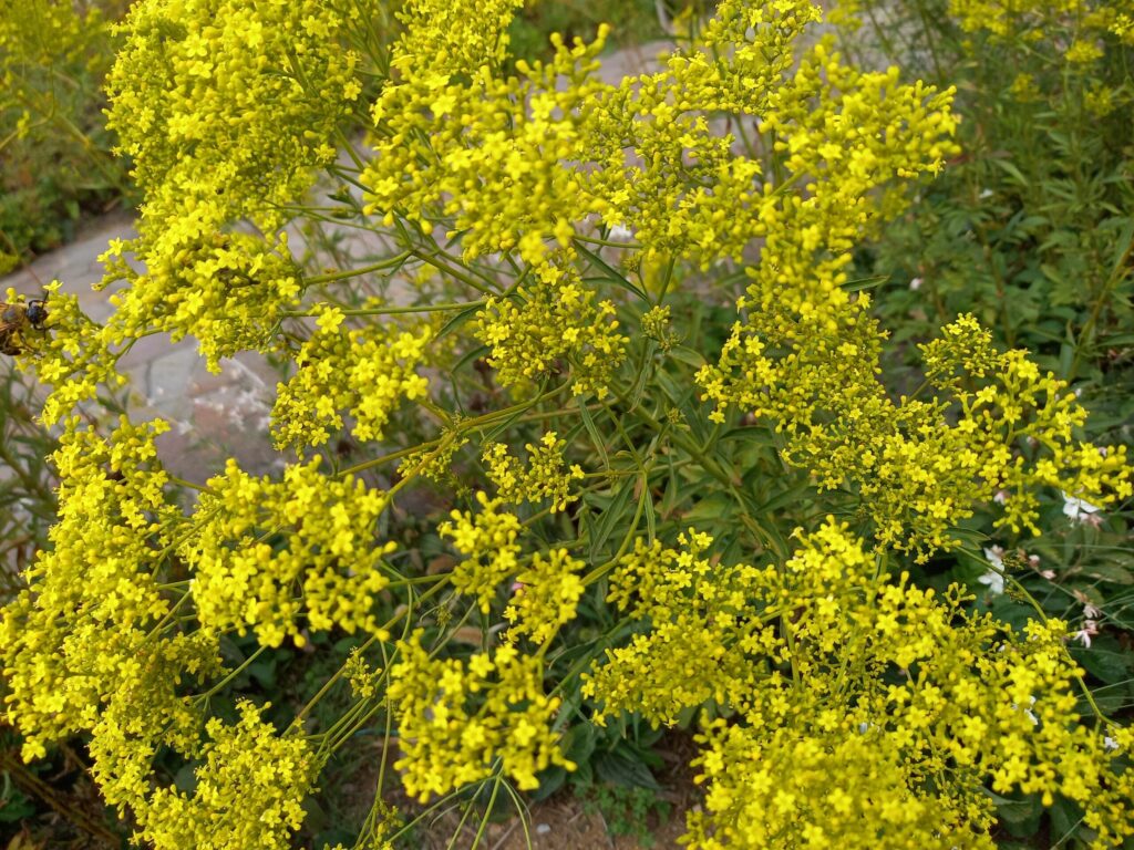 「娘のために」は、「自分のため」ではないですか?