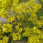 「娘のために」は、「自分のため」ではないですか?