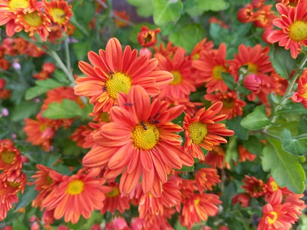 娘から避けられ、実母とは疎遠。世代間連鎖が原因？