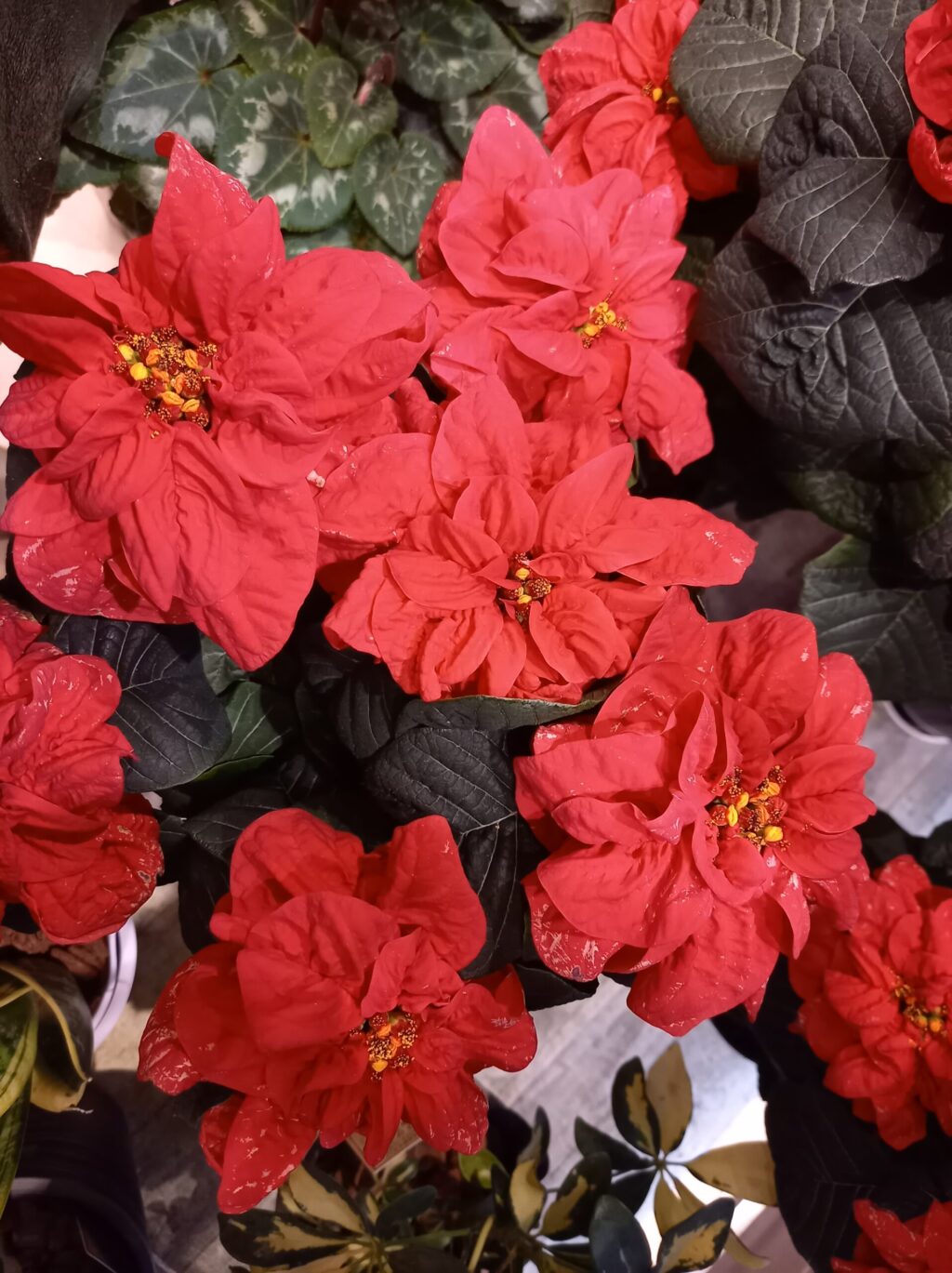 New！「自分の性格傾向（女性に特化）を知るレッスン」