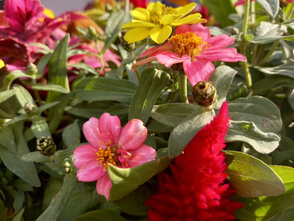 放置子だった私が母に子供を会わせたくない訳