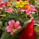 放置子だった私が母に子供を会わせたくない訳