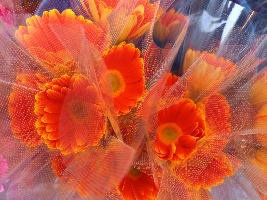 一人暮らしの娘の「実家に戻る」に複雑な母の胸中とは？