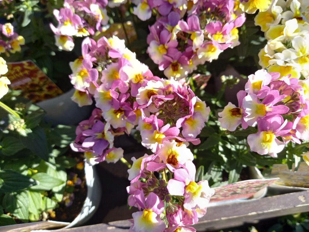 母親を許せないのに、断絶すると不安な娘の心理とは