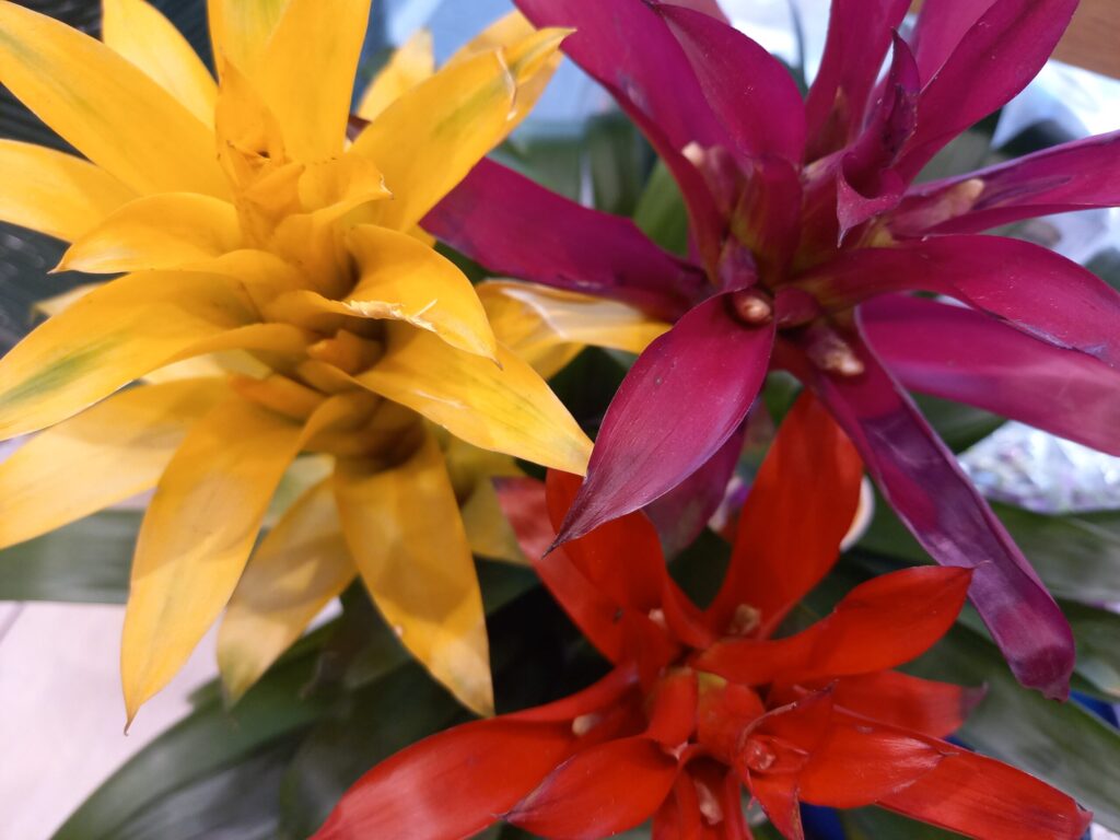 50代母を責める娘、10年以上の関係、変えませんか