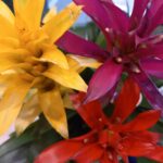 50代母を責める娘、10年以上の関係、変えませんか