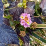 娘の自立を阻んだ母の後悔とは