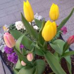 熟年離婚を娘に相談、大反対された訳とは？