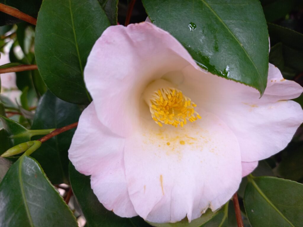 夫、子供、友人からも軽く見られるのを変えたい