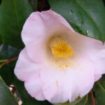 夫、子供、友人からも軽く見られるのを変えたい