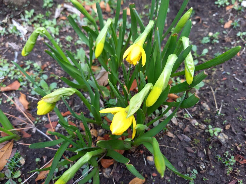 娘から愛情を証明してよ、と言われても…