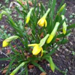 娘から愛情を証明してよ、と言われても…